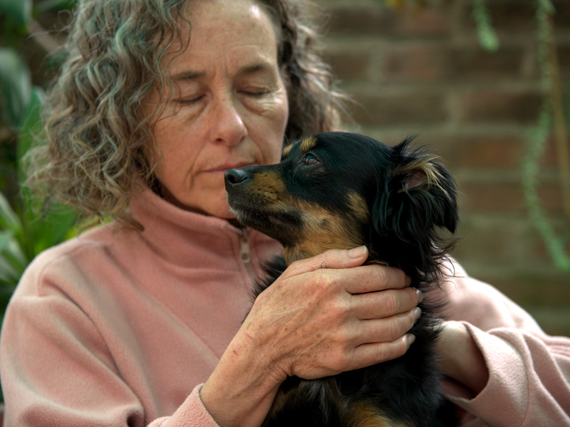 Bienestar animal - Reiki para mascotas - Perros, gatos, aves, tortugas y caballos