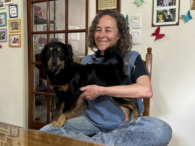 Corina Argentin - Reiki para animales en zona oeste. Perros, gatos, aves, tortugas, caballos, hamsters.