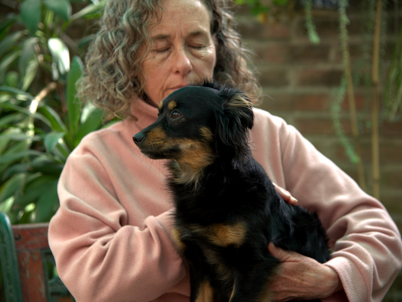 Bambu Reiki - Reiki para mascotas - Bienestar Animal - Perros, gatos, tortugas, aves, caballos y más.