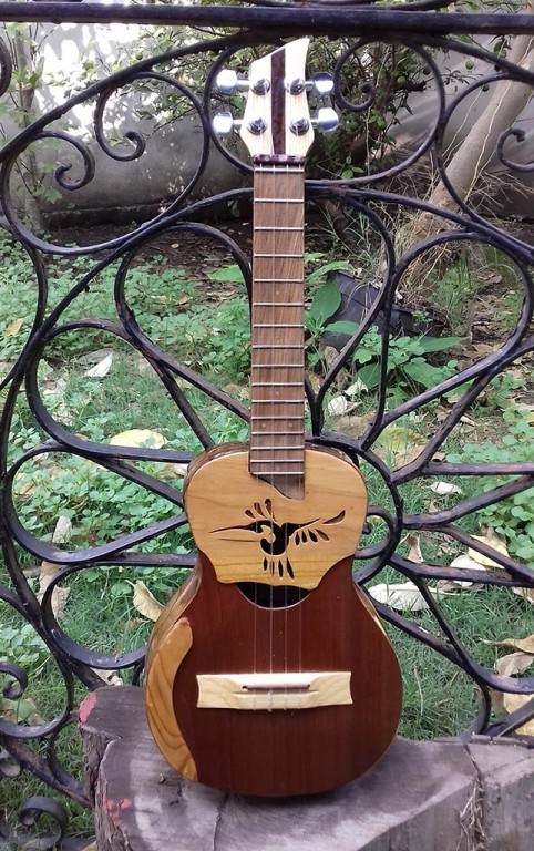 Pipo Nazaro Luthier - Instrumentos de la tierra