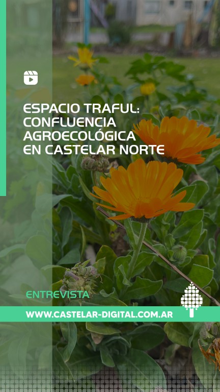 https://www.instagram.com/castelardigital/reel/DM_bTA4MmVE/