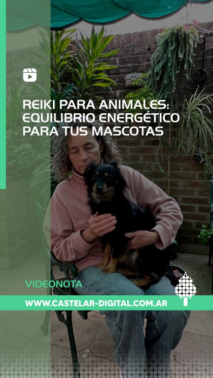 reiki mascotas salud castelar digital 1
