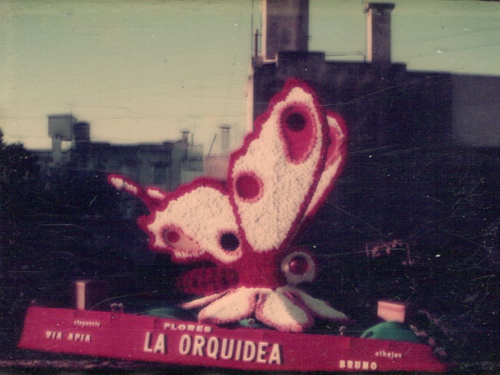 La Carroza Mariposa.
Diapositiva de Guillermo Loureiro.