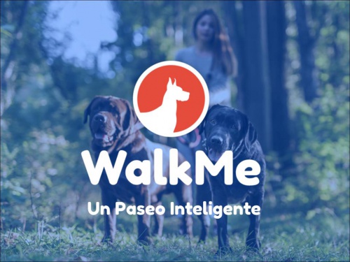 Una app conecta paseadores y dueños de las mascotas