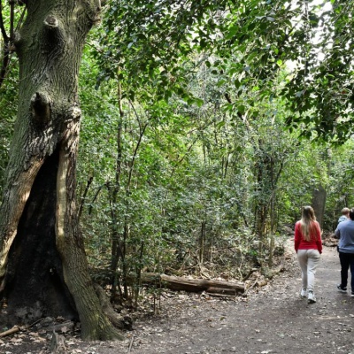 Reservas naturales de Morón: Conocé los pulmones verdes de la Zona Oeste
